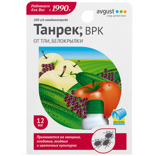 ���� Avgust �������� ������ �� ��� � ����������, 12 ��, 15 � ������ ������