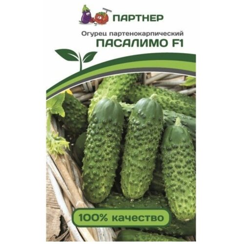 ���� ������ ������ ������� �������� F1 5 ����� ������ ������