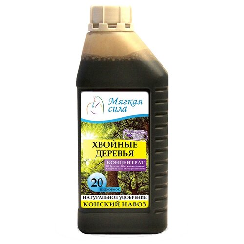 ���� ��������� ������ ���� ��� ������� ��������, 1 �, 1 ��. ������ ������