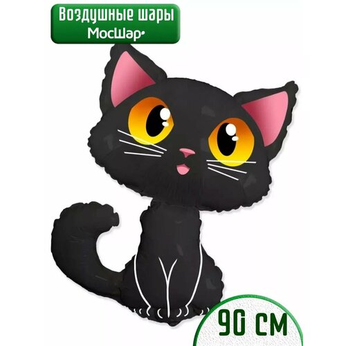 ���� ��������� ������ �������� ������ ��� ������ ������