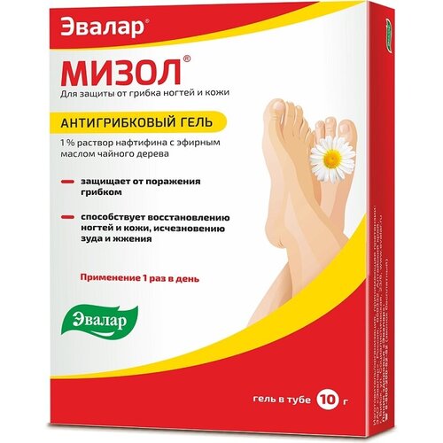 ���� ����� ����, 10 �, 10 �� ������ ������