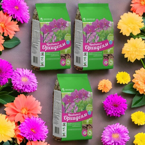 ���� ����� ��� ������� ��������� 2� / 3��. ���������� ��������� ���������. ������ ������