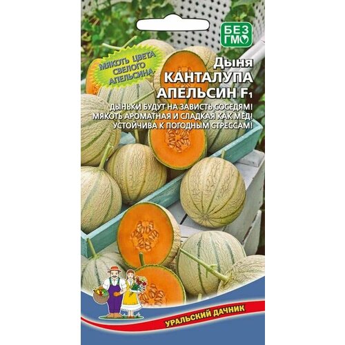 ���� ���� ��������� �������� F1, 1 �����, ������ 6��, ��������� ������ ������ ������