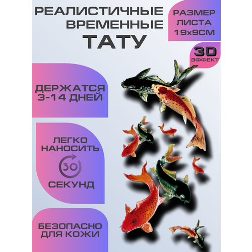 ���� ���� ���������� ��������������, ��������� 3D ���� ������ ������