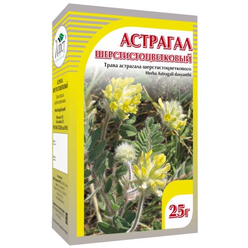 ���� ����� ����� �������� ������������������, 35 � ������ ������