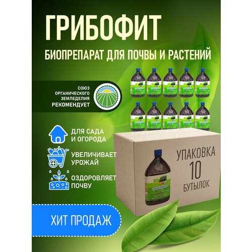 ���� ����������� ���������� ������, Trichoderma viride �� ��������� �����������, ��������� 