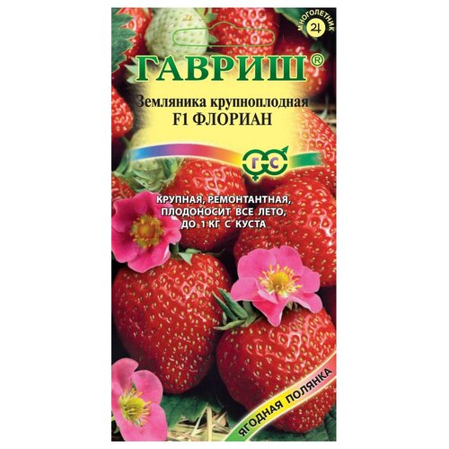 ���� ������ ������ �������� ������� F1, 5 ��. ������ ������