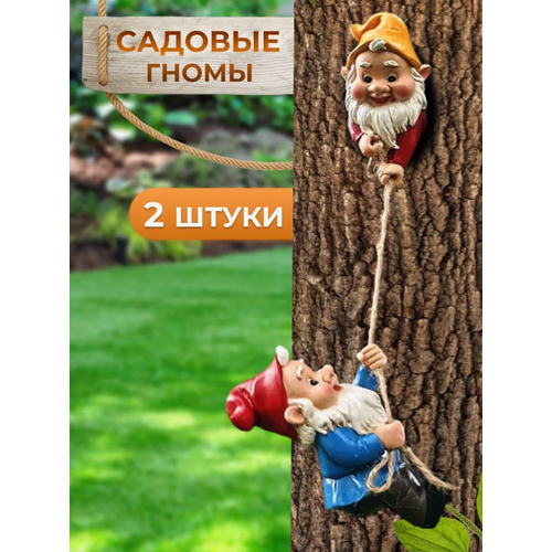 ���� ������� ������� �� ������� ������ ������