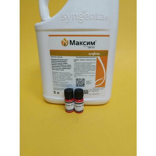 ���� ������������ ������ 2 �� �� 10 �� ������ ������