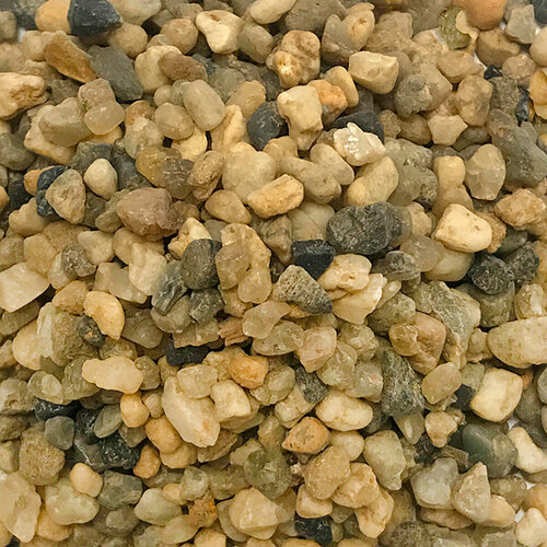 ���� ����������� ����� ��� ��������, ����������� � ��������, Zoo One, ��������� ��������, 