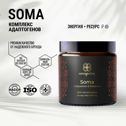  Soma Amazonica    60 .           . . .  