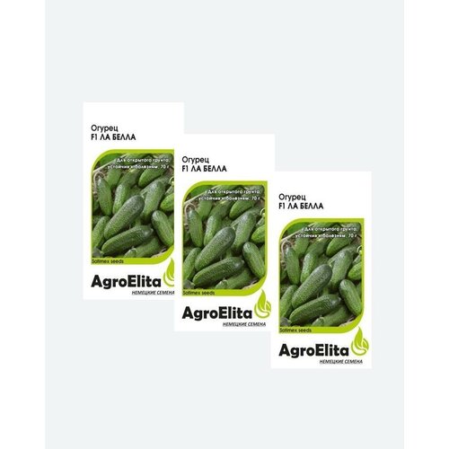      F1, 0,3, AgroElita, Satimex(3 )   -     , -, 