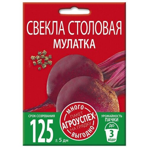 ���� ������ �������, ������ ��������� �����-������� 6� ������ ������