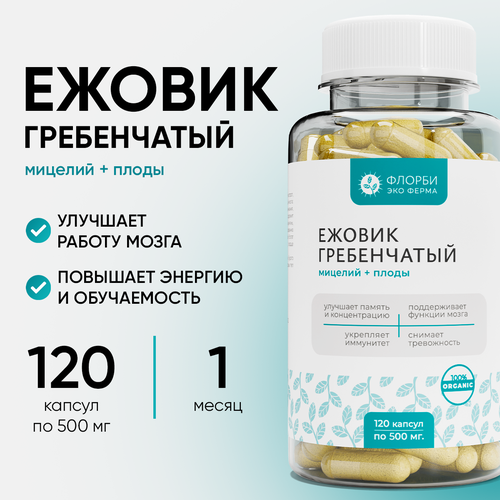 ���� ������ (������) ����������� �������, 120 ������ �� 500 �� ������ ������