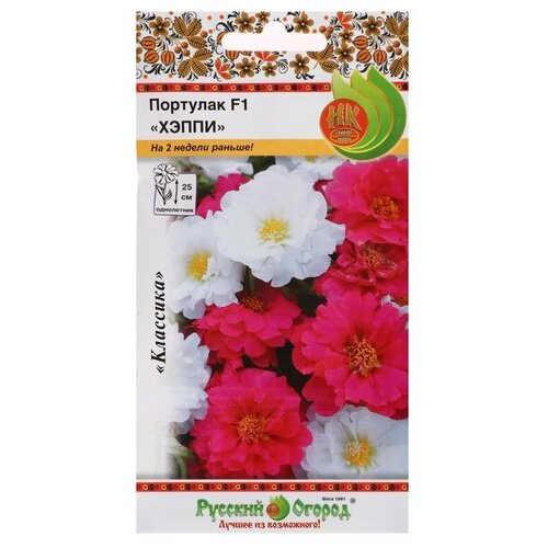 ���� ������ ������� ������ �������� ����� �����, 8 �� ������ ������