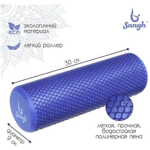 ���� Sangh ����� ��������� Sangh, 30�9 ��, ����� ���� ������ ������