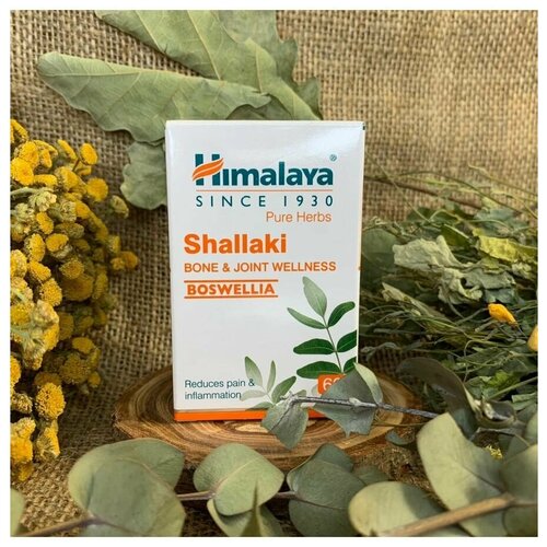 ���� Shallaki (�������, ������) Himalaya (�������) ������ ����� � ������ � ��������, ��� ������� � ����������, 60 ���. ������ ������