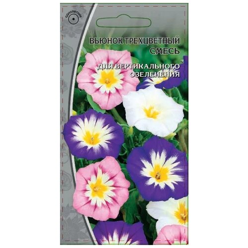 ���� ������ ���� ��������� ������ ����������� �����, 0.5 � ������ ������