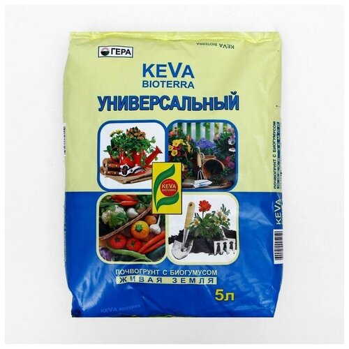   KEVA BIOTERRA , 5    -     , -, 