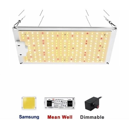    ,  quantum board ( ) SL1000:  Samsung LM281b+,  Mean Well   .   -     , -, 