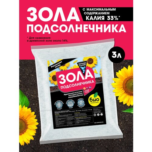 ���� ���-�������� / ������������ �������� ��������� ���� ������������� 3� ������ ������