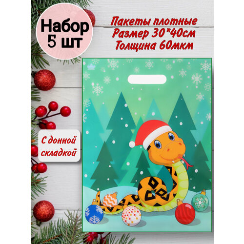 ���� ����� ���������� ���������� 2025 ���� ��� �������� ����� 5 �� ������ ������