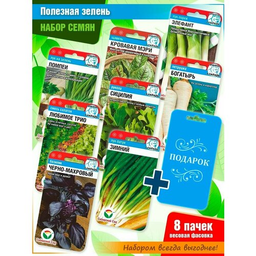 ���� ����� ����� 