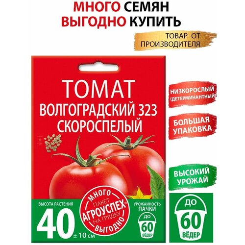 ���� ����� ������������� 323 , ������ ��������� �����-������� 1� ������ ������