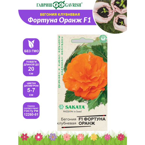 ���� ������ ������� ������� ����� F1 ������ ��������� 4 �� ������ ������