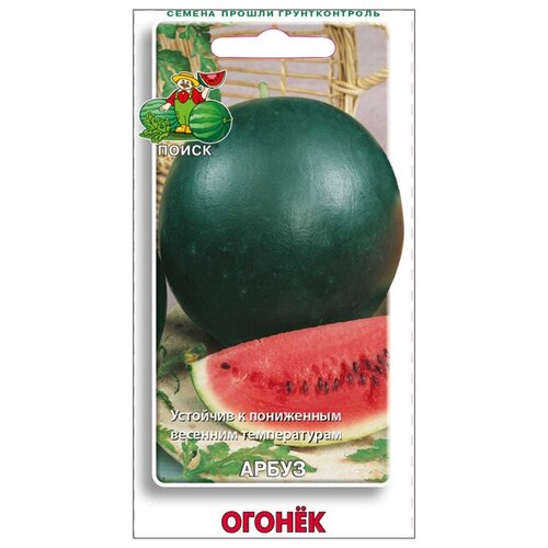 ���� ������ ����� ������ 15�� ��� ����, ����, �������, ������� / ������� � �������� �������� ������ ������