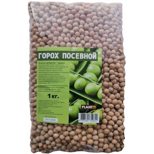 ���� ����� �������� (�������), 1 ��, 1 ��. ������ ������