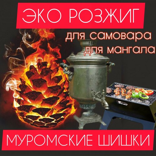 ���� ��������� ��������� ����� ������������ ������ ������