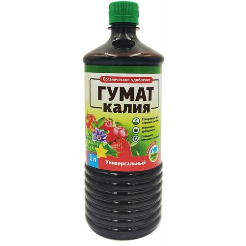 ���� ����� ����� ������������� 1 � (������ ����������), ����������� ���������� ���������������� ��������� ������ ������