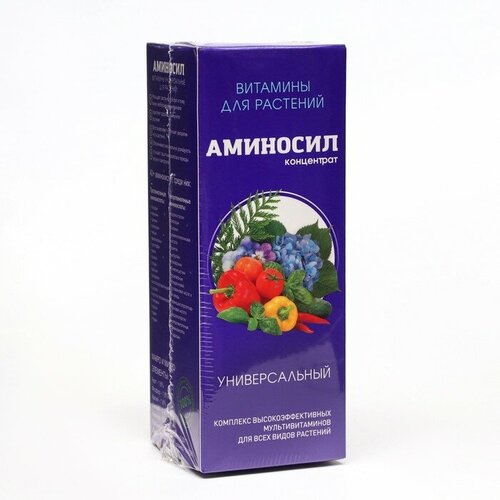 ���� ��������� ������ �������� �������������, 250 �� ������ ������