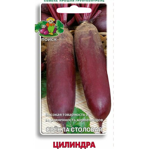 ���� ������ ������ �������� 3� �������������� (�����) ������ ������