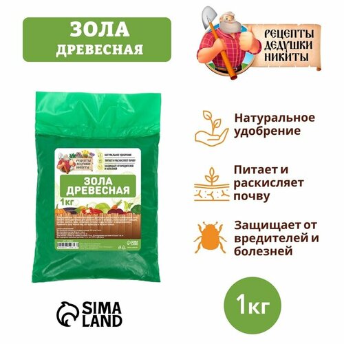 ���� ���� ��������� 