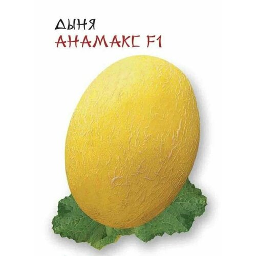 ���� ������������� ������ ���� ������� F1 ������ ������