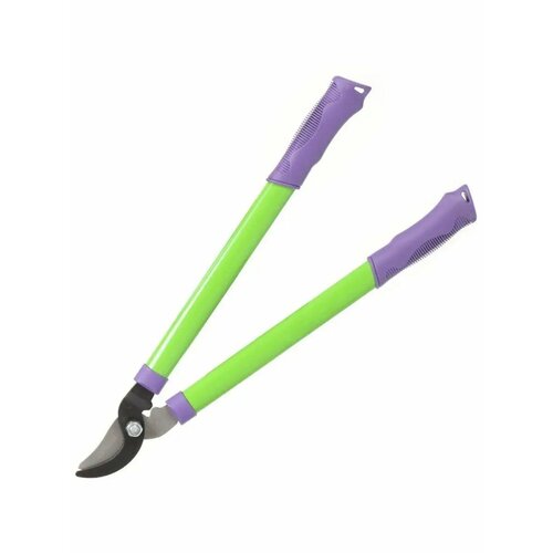 ���� �������� ������� ���� 520�� ������ ������