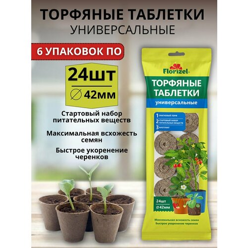 ���� �������� �������� ������������� ��� ����� � ������� 6 �������� �� 24 �� ������� 42 �� ������ ������