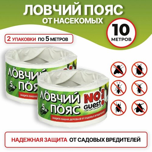 ���� NoGuest! ������ ���� ��� �������� �� ������� ����������, 10 ��, 170 �, 2��. ������ ������