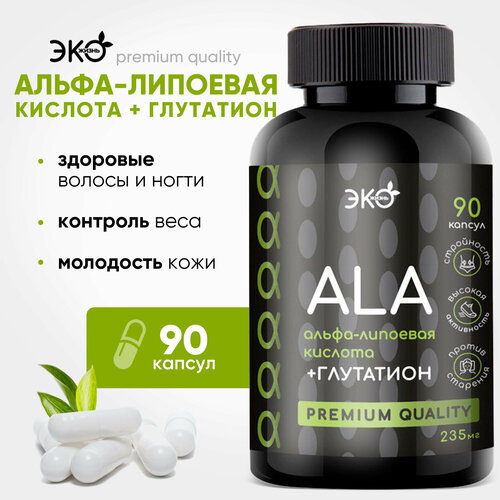 ���� �����-�������� ������� + ��������� ���������� �������� ��� ����������, ������������ ��� ���������, ������� � ����� 90 ��. ������ ������