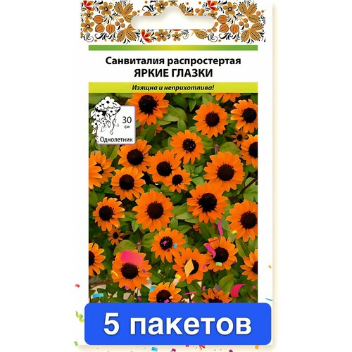 ���� ����� ���������� ����� ������ 5 ������� ������ ������