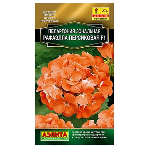 ���� ������ ��������� ������ ���������� �������� F1 ���������� 5 ��. ������ ������