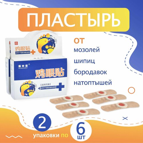 ���� 2 �������� �� 6 ��. �������� �� ����� �������, ����������, ����� � ��������� Baozhongbao ������ ������