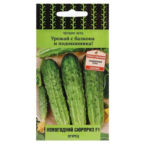 ���� ������ ����� ���������� ������� F1 ������ 12 ��. ������ ������