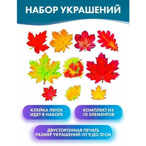 ���� ����� ��������� 