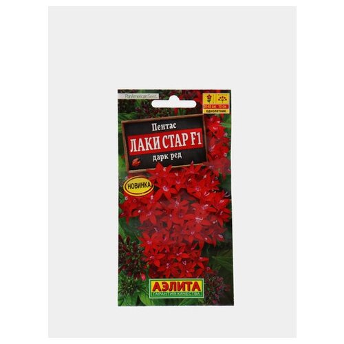 ���� ������. ������ 