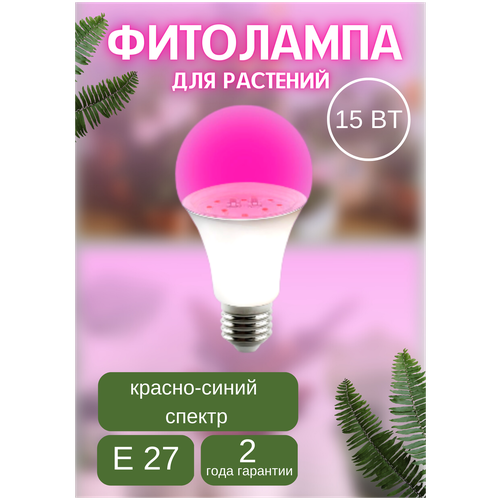       15W E27 -    -     , -, 