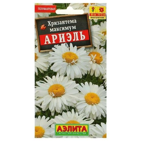 ���� ������ ������ ���������� 