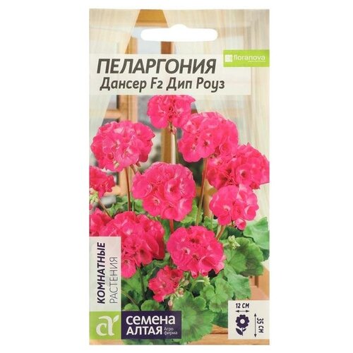 ���� ������ ������ ���������� 